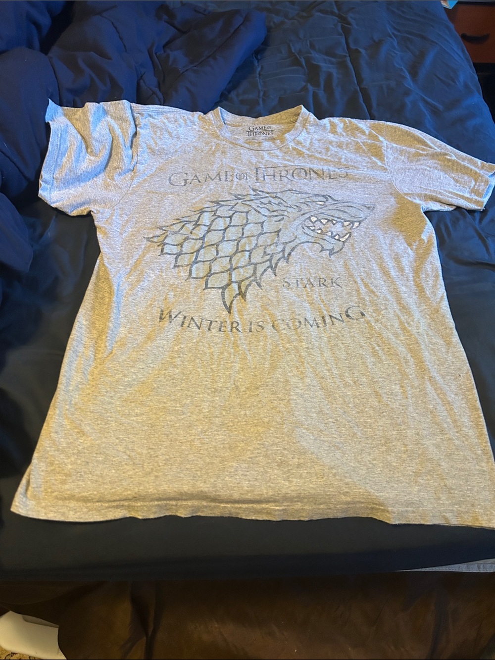 Men's Grey 'Winter Is Coming' Short Sleeve Tee